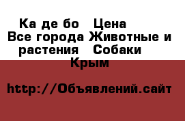 Ка де бо › Цена ­ 25 - Все города Животные и растения » Собаки   . Крым